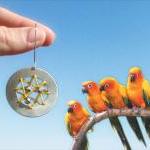 Dreamcatcher Earrings Sunny..